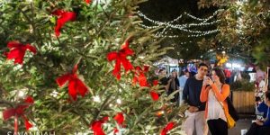 Increase Holiday Traffic with the Savannah Holly Days Toolkit