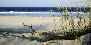 City of Tybee to Restore South End Dunes