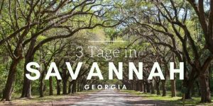 German Food and Travel Bloggers Enjoy a Taste of Savannah