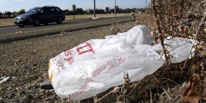 Visit Savannah Dumps Plastic Bags