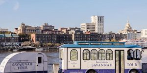 The Surprisingly Savanna Mobile Tour Embarks on 11-City Road Trip this Weekend