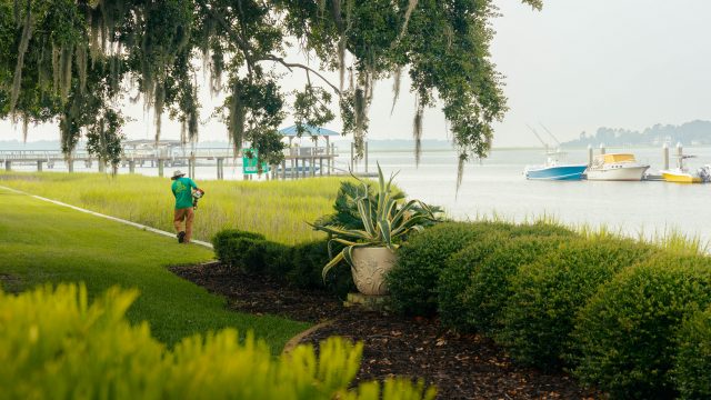 Coastal Greenery Gallery