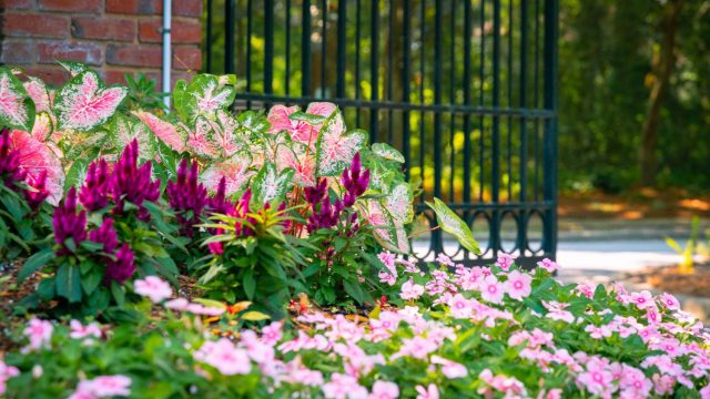 Coastal Greenery Gallery