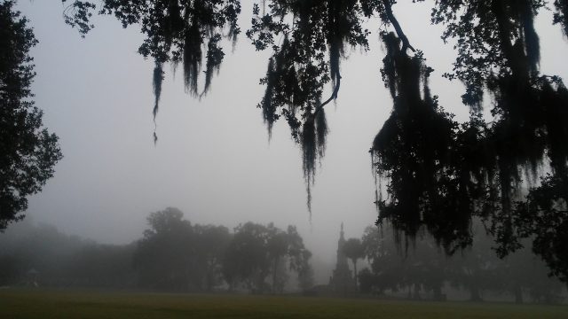 Historic Forsyth Park