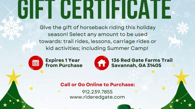 Equine Christmas Gift Certificate